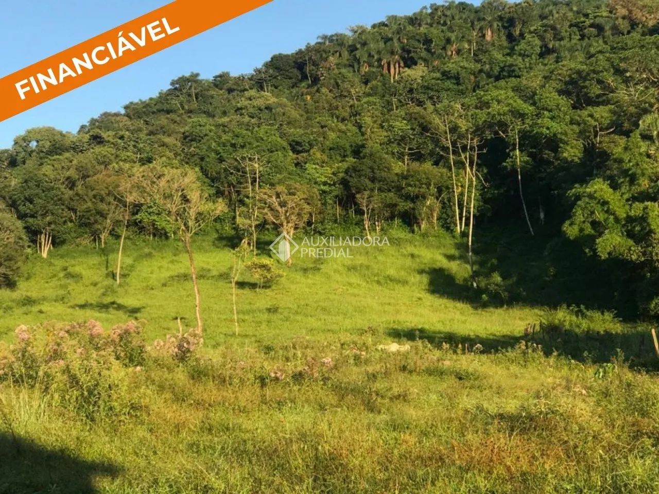 Área Com Matrícula à venda em Imbituba - SC - Foto 5