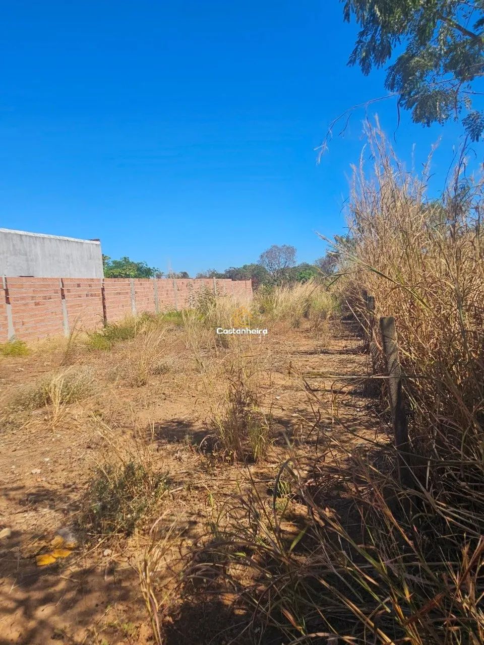 Lote|Terreno - 495 m² - Plano Diretor Norte - Foto 5