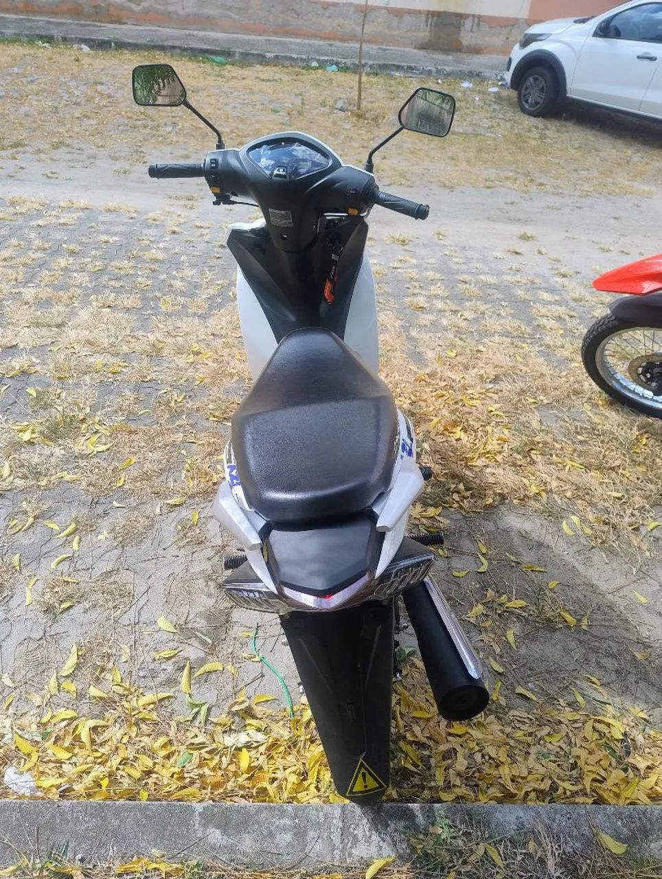 Avelloz nova  - Foto 4