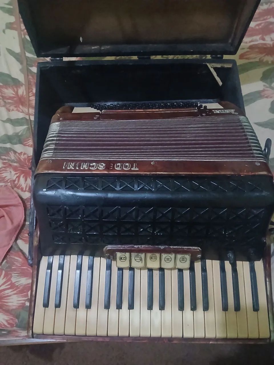 Vendo sanfona todeshini - Foto 3