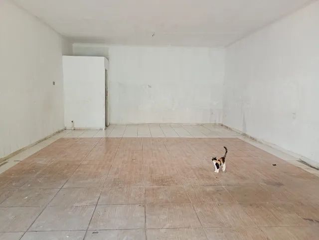 Alugo loja centro em Ouros - Foto 3
