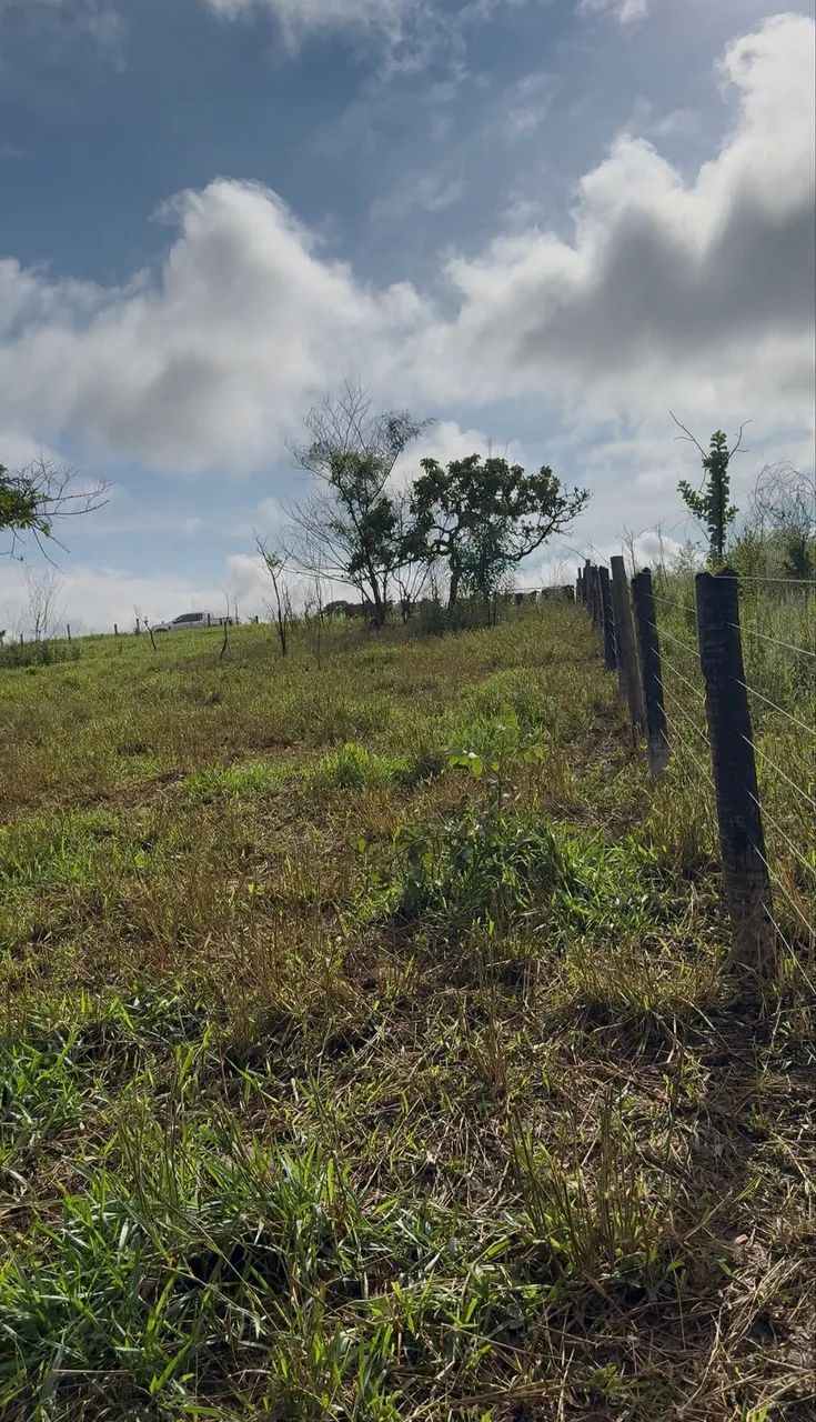Chácara na beira do Rio Uru em Itaberaí 