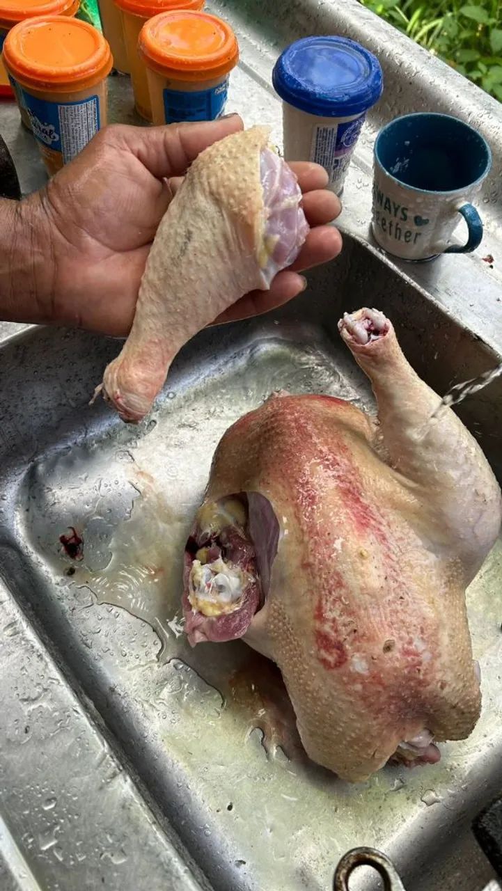 Galinha caipira  - Foto 2
