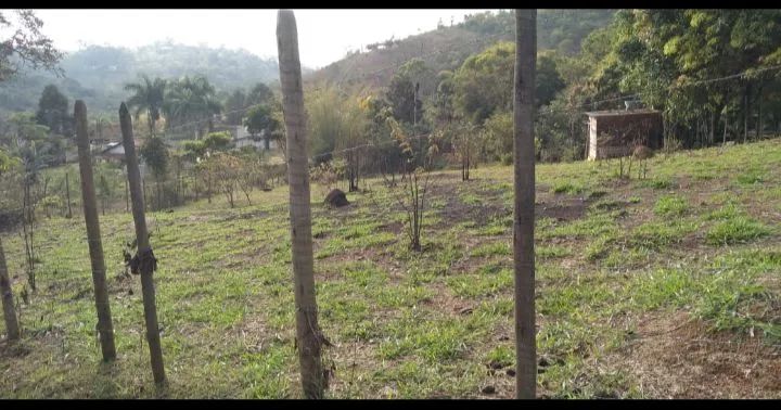 Vendo granja em Dias Tavares  - Foto 2