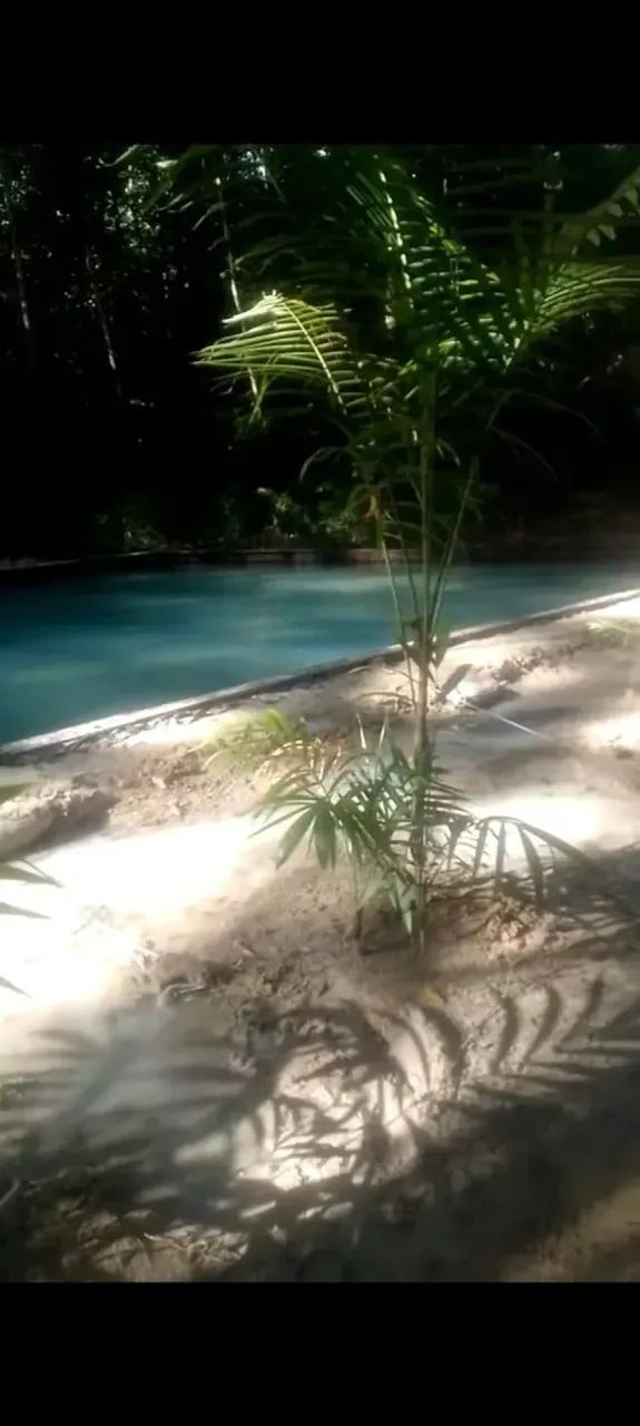 Sítio em Terra Alta - Foto 2