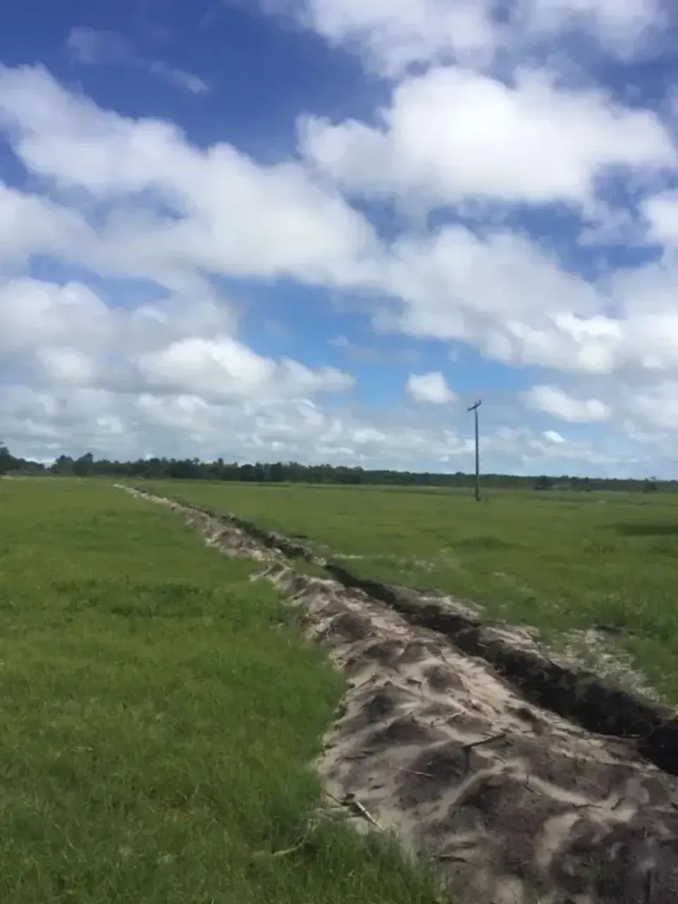 fazenda com 60 hectares próximo do aeroporto - Foto 2