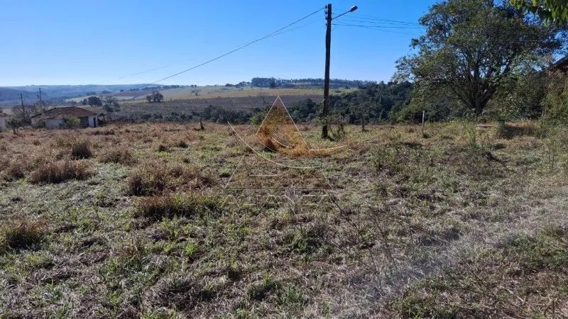 Fazenda - Anhembi - Zona Rural - Foto 3