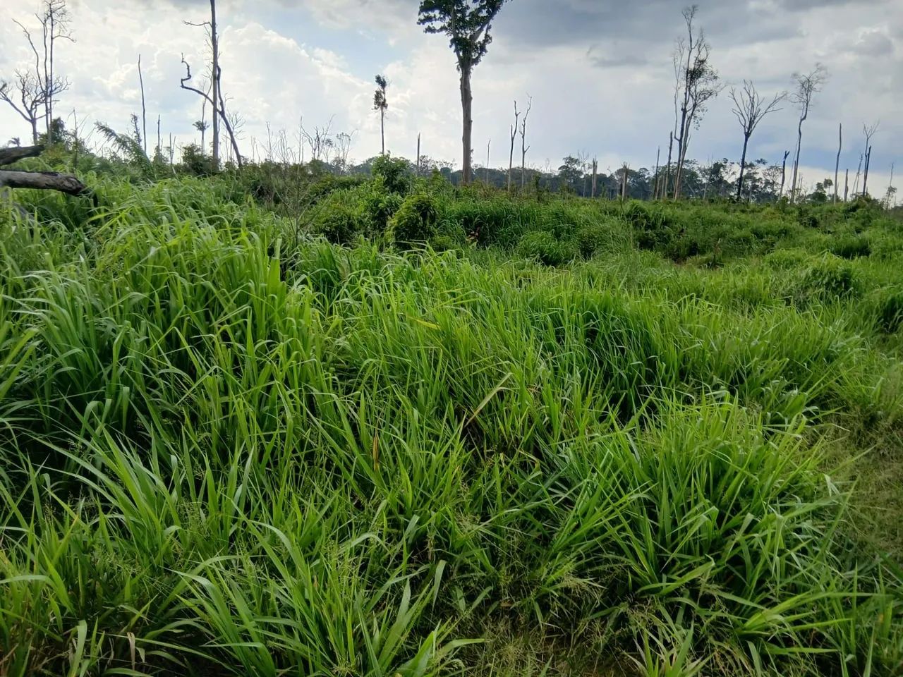 Documento está em trâmite  - Foto 4