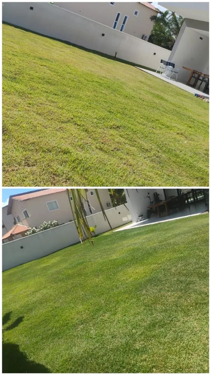 Adubação de grama e plantas