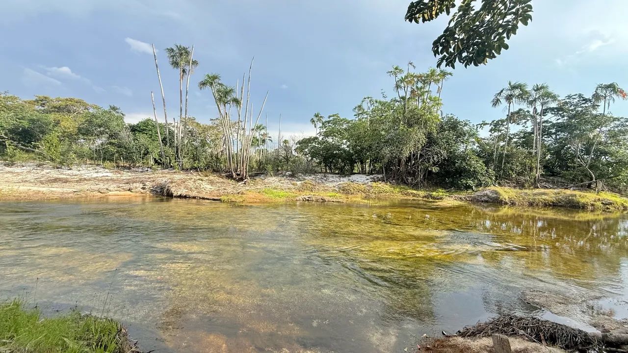 SÍTIO À VENDA EM ALTO ALEGRE - RR - Foto 3