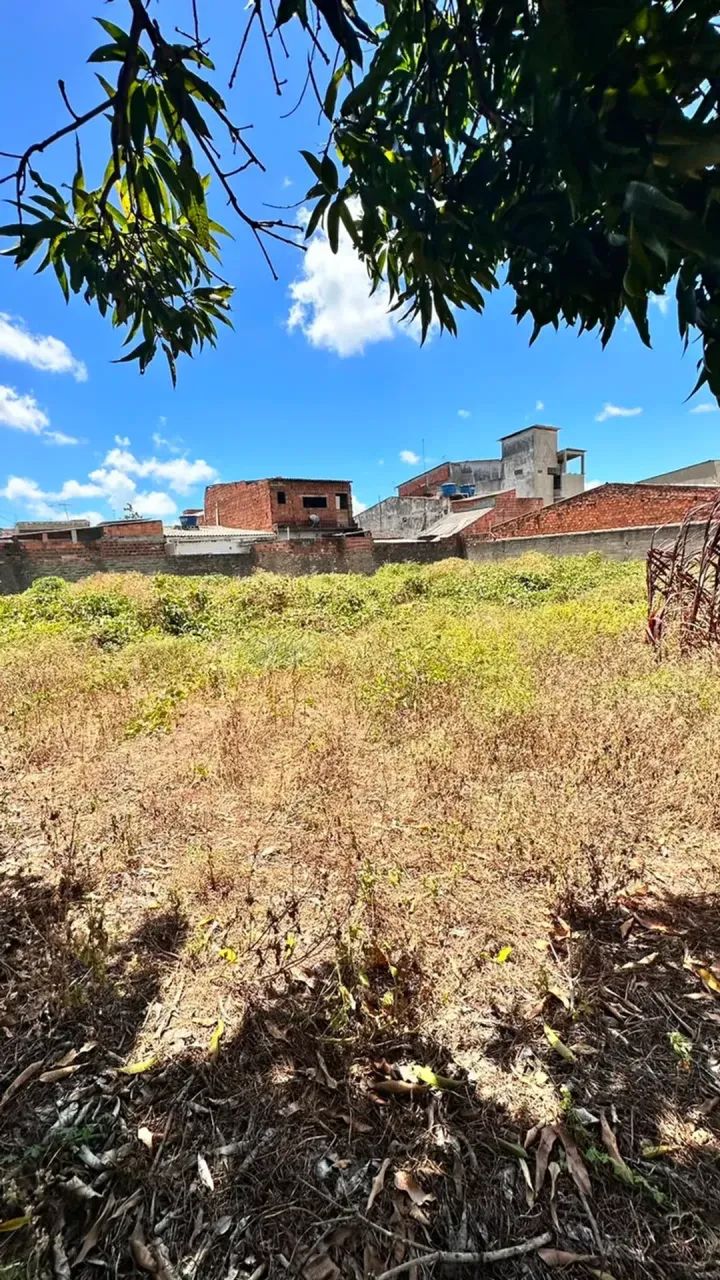VDO. ÁREA DE TERRENO PX. A  UFAL - Foto 3