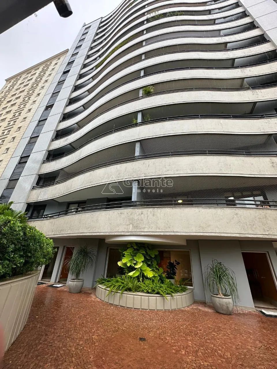 apartamento - Cambuí - Campinas