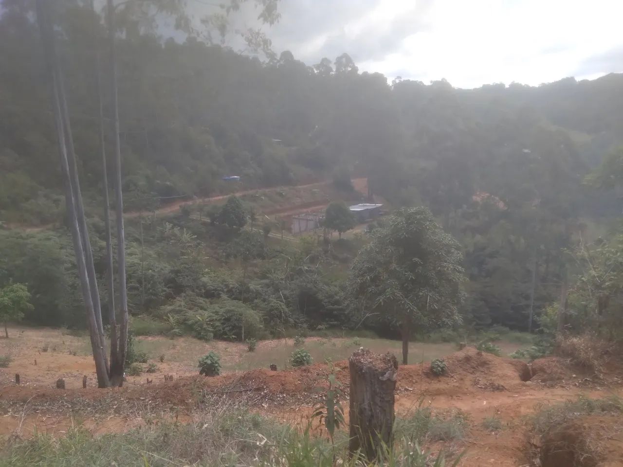 Sítio  - Foto 5