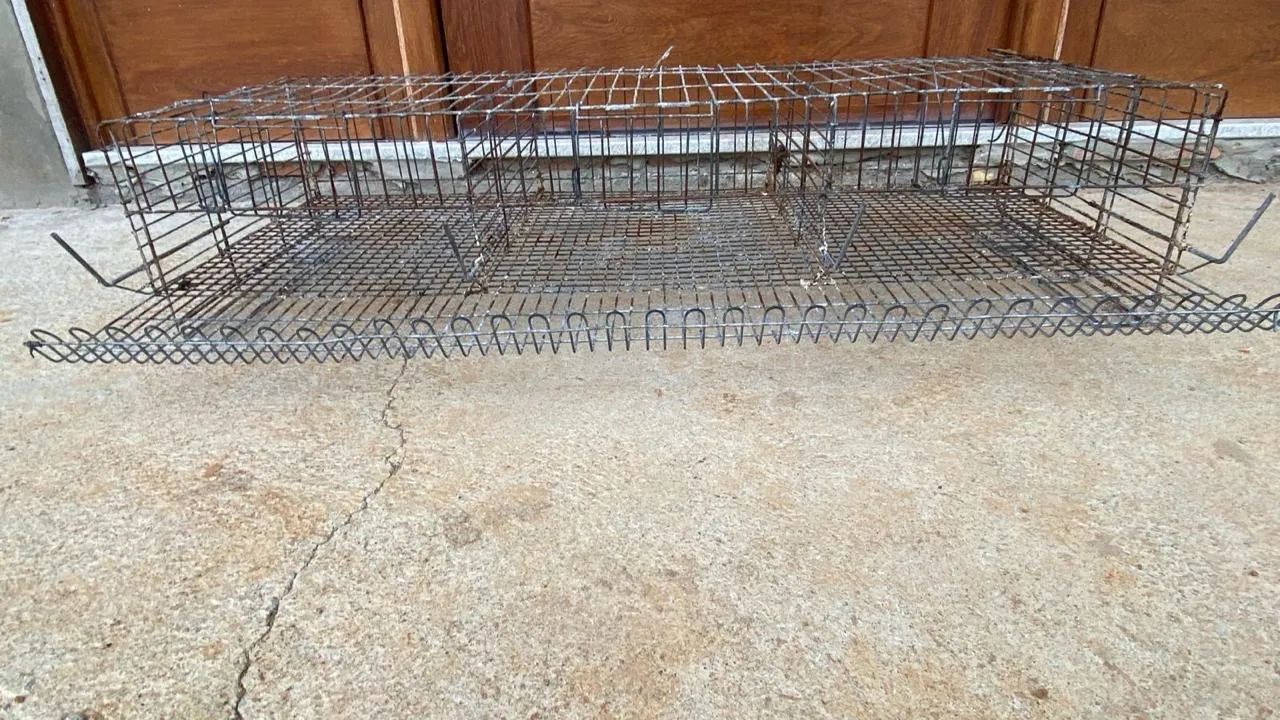 Gaiola para codornas  - Foto 3