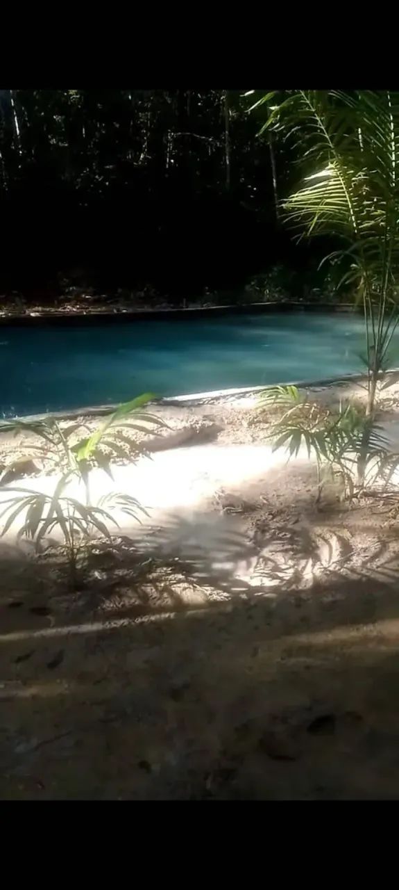 Sítio em Terra Alta - Foto 3