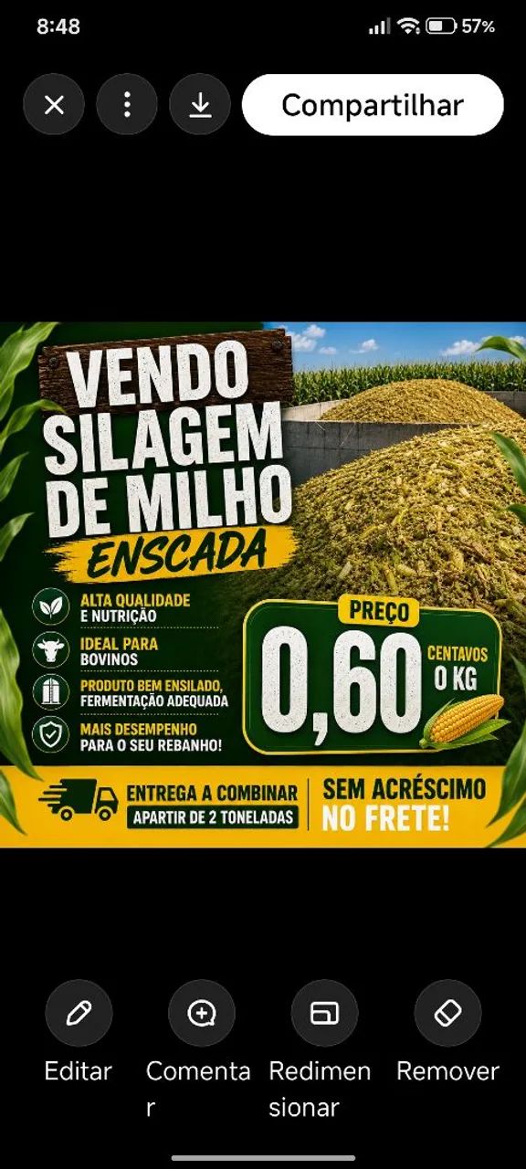 Enda de silagem ensacada