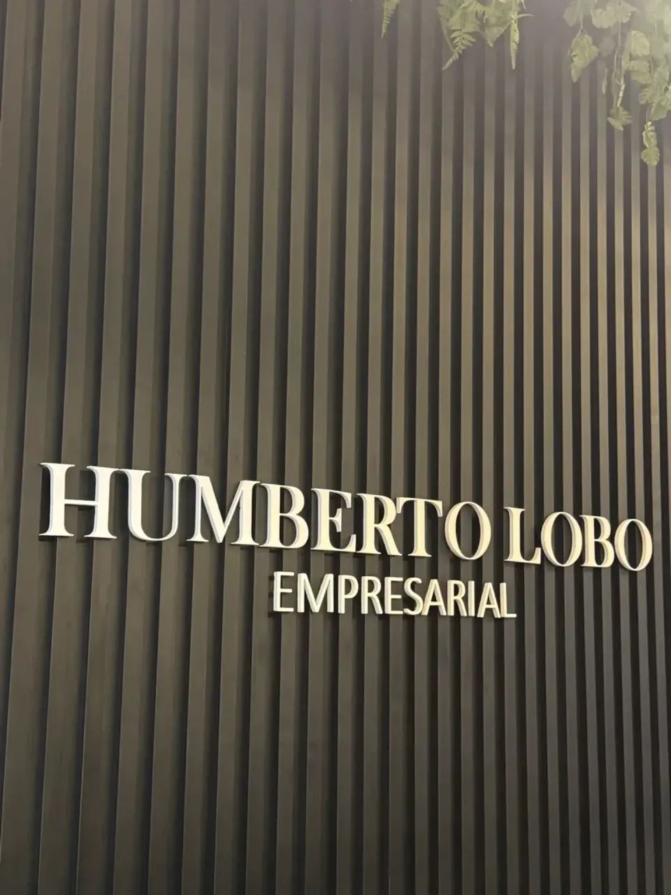 ALUGO | Sala Comercial  Edifício Humberto Lobo. - Foto 3