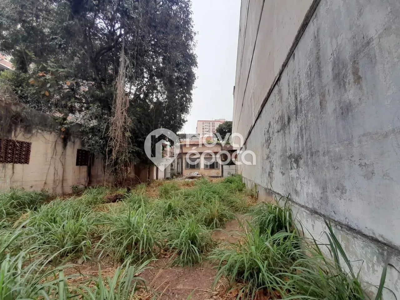 Todos os Santos | Terreno - Foto 2