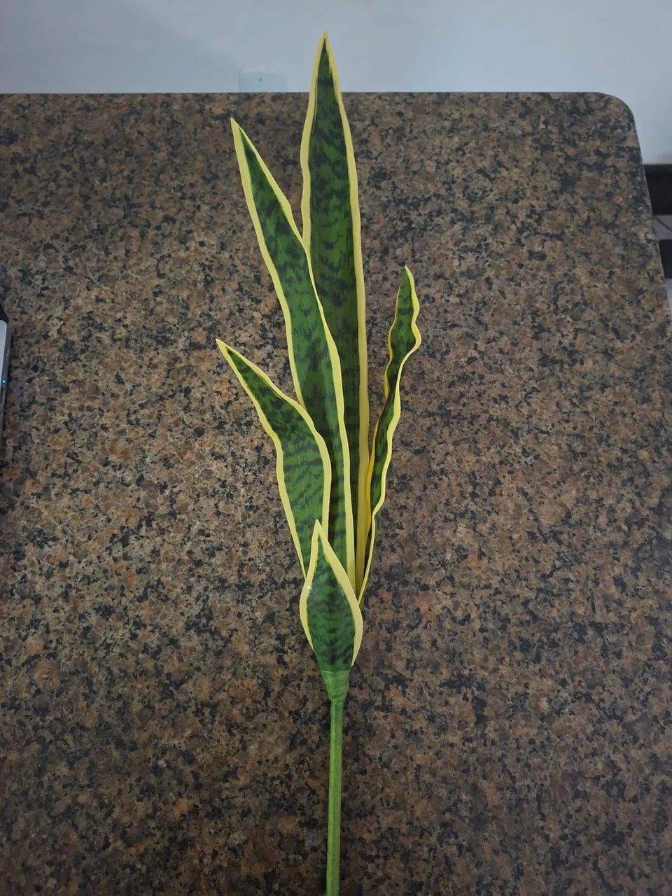 Planta Artificial Espada de São Jorge