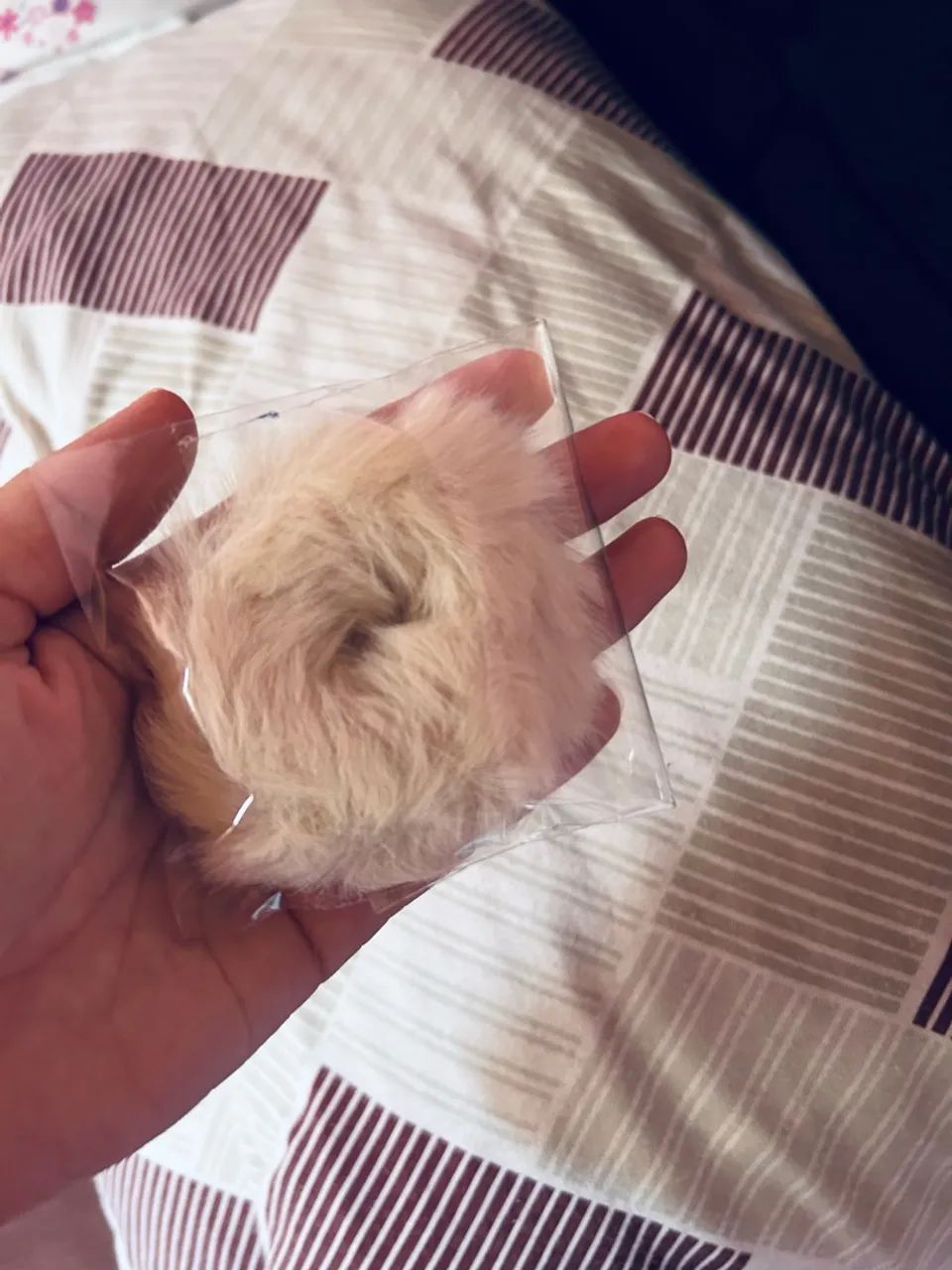 XUXINHA DE PELÚCIA  - Foto 3
