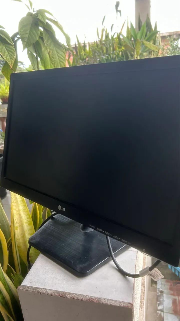 Monitor LG 20 polegadas 