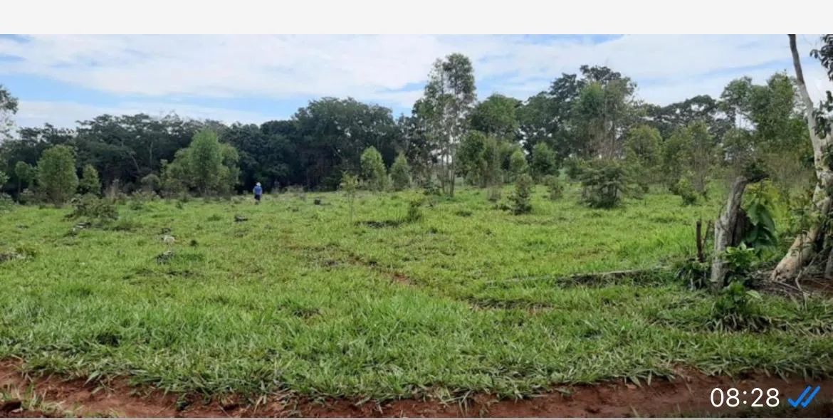 Terreno a venda em Capão( Ponte vila) - Foto 3