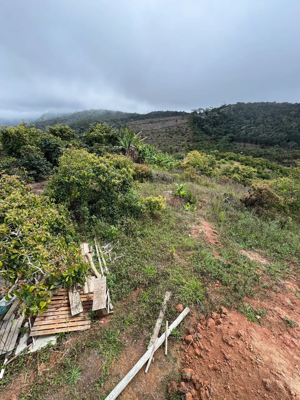 Terreno  - Foto 2