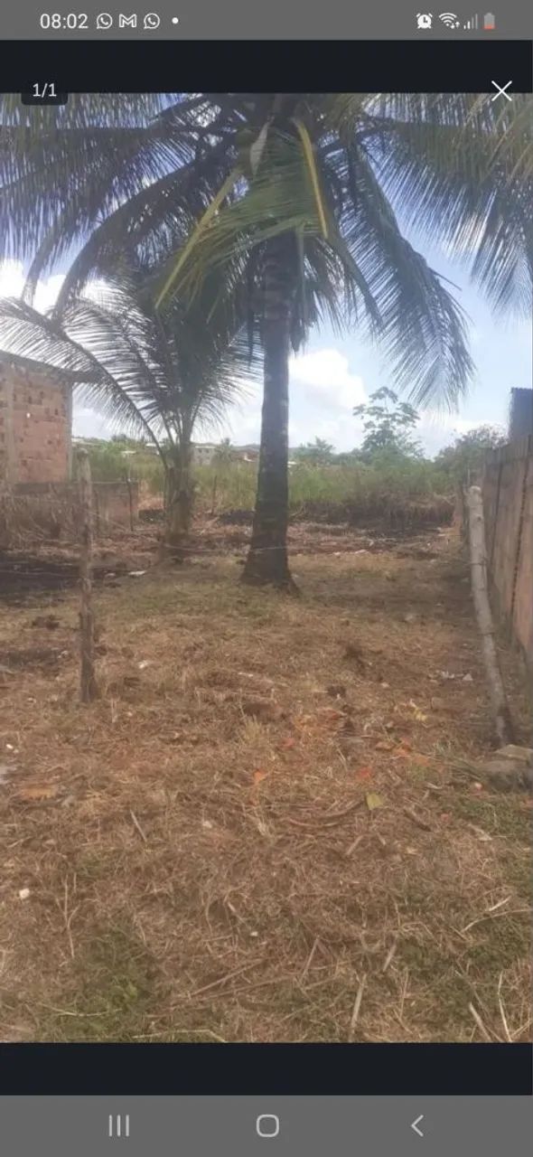 Terreno em Conceição  - Foto 2