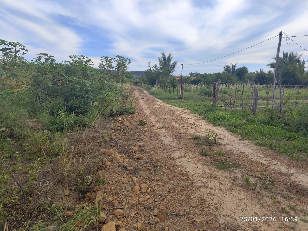 Terreno em união-pi (povoado divinopolis) - Foto 2