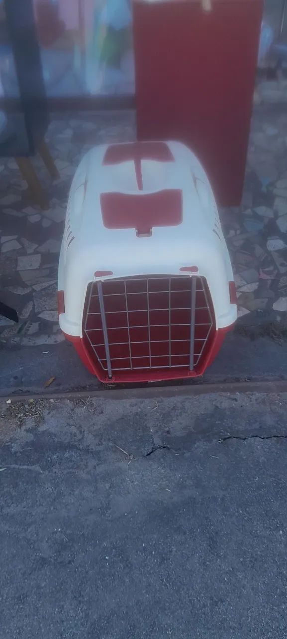 Transporte de Pet 