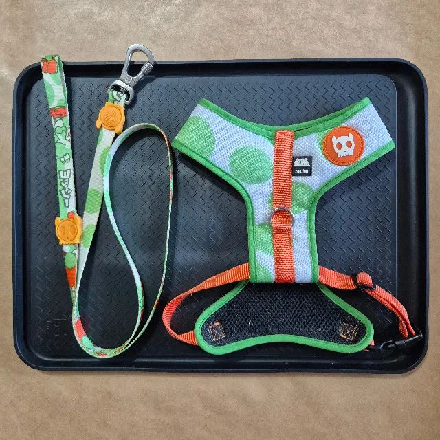 Conjunto Zee.Dog - Foto 2