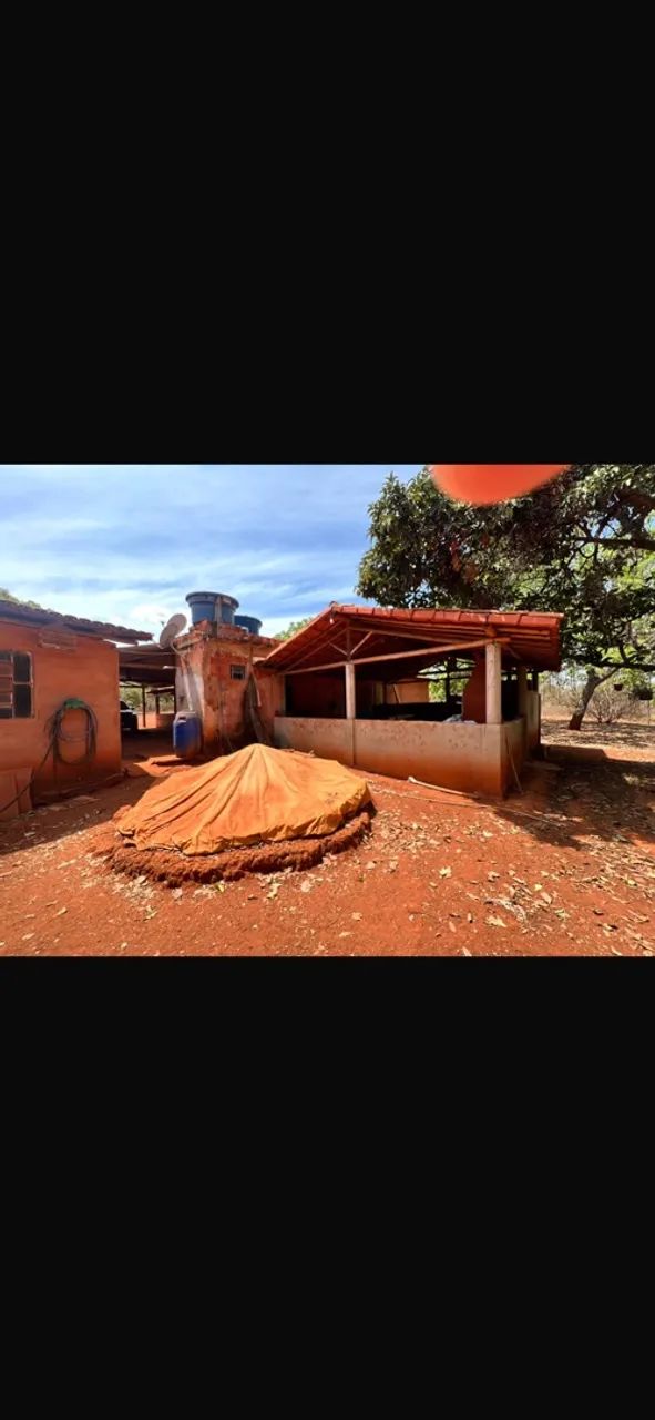 Sítio bem localizado - Foto 3