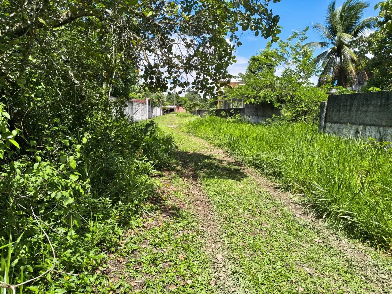 Terreno em Aldeia 12x50  - Foto 5