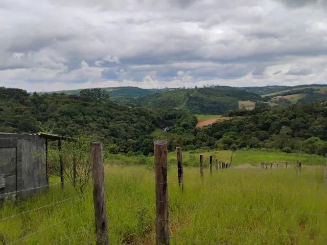 Foto - Piedade - 
