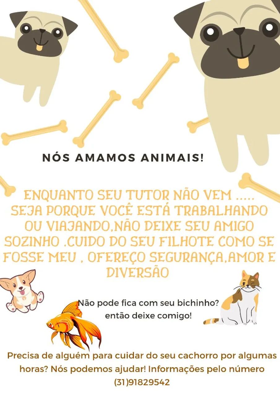 pet sitter