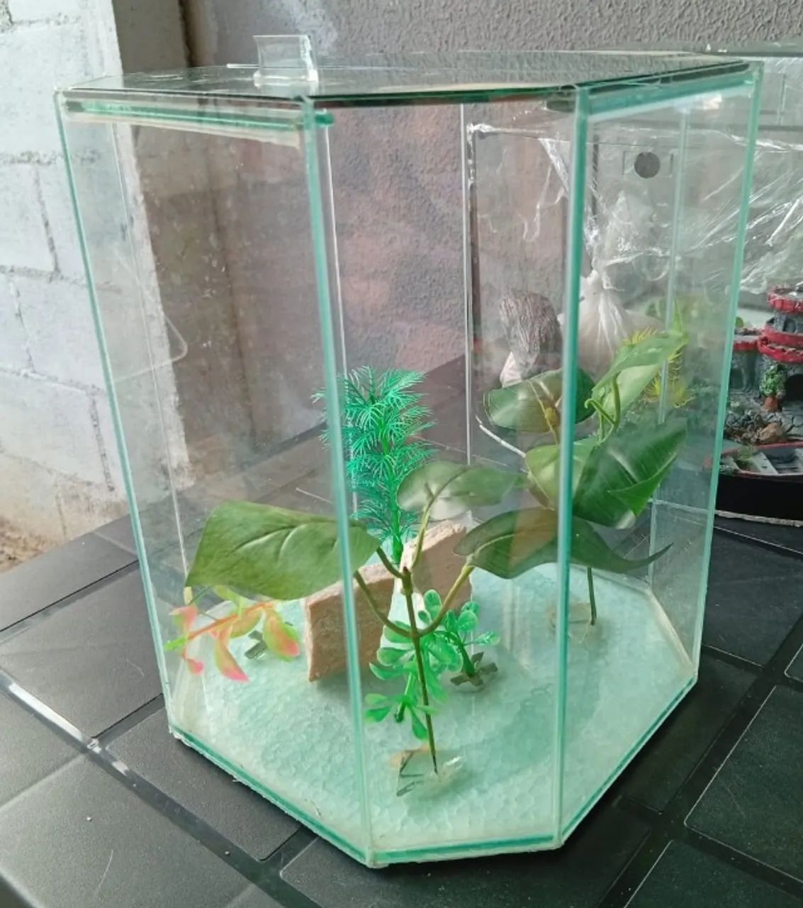 Áquario - Foto 2