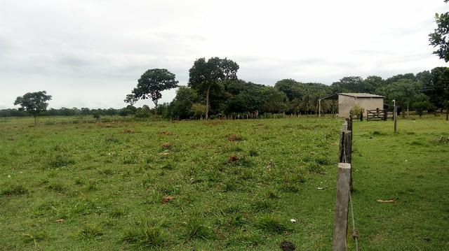 Fazenda 10 km da cidade Cuiaba - pedra 90 - Foto 4