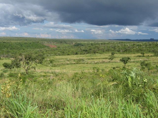 Almas-TO - Fazenda distante de Palmas 210 Km - Foto 17