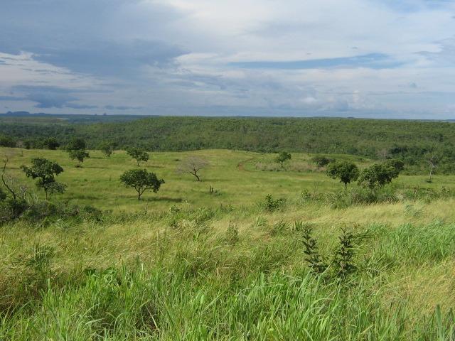 Almas-TO - Fazenda distante de Palmas 210 Km - Foto 16