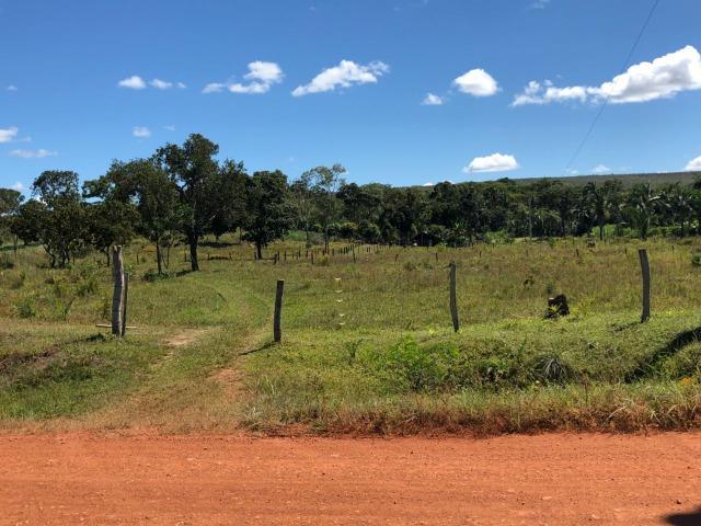 Chácara Km 8,5 depois de lajeado - Lajeado - TO - Foto 9