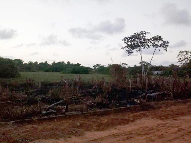 Dois lotes no loteamento matapuã - Foto 2