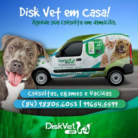 Veterinário em Domicílio