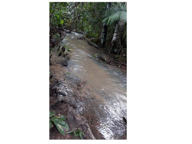 42 hectares, aceito camioneta, capão verde, terra preta,culturão, ocasião - Foto 7
