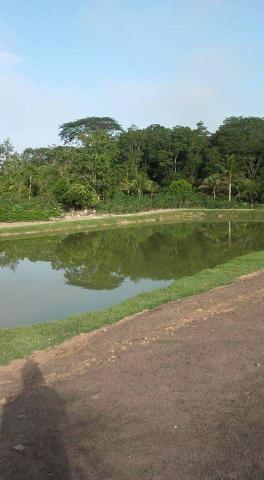 Sítio no Rio Preto da Eva - Foto 3