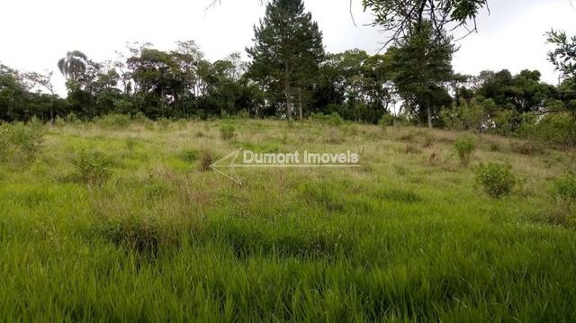 Maravilhosa área de 31.800m² totalmente aproveitáveis - Foto 6