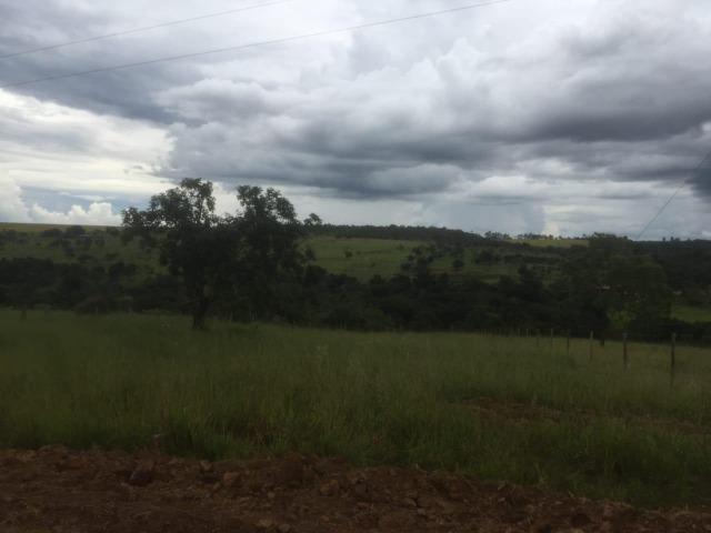 4 Alqueires c/ Rio p/ Lotear, Haras, Lazer, Gado. 40 km Anápolis-GO - Foto 5