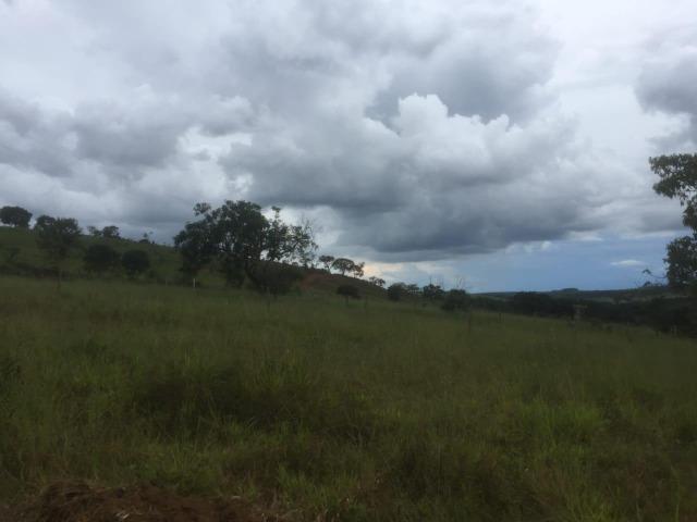 4 Alqueires c/ Rio p/ Lotear, Haras, Lazer, Gado. 40 km Anápolis-GO - Foto 18