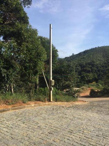 Terreno residencial à venda, Prata, Teresópolis. - Foto 4
