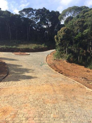 Terreno residencial à venda, Prata, Teresópolis. - Foto 6
