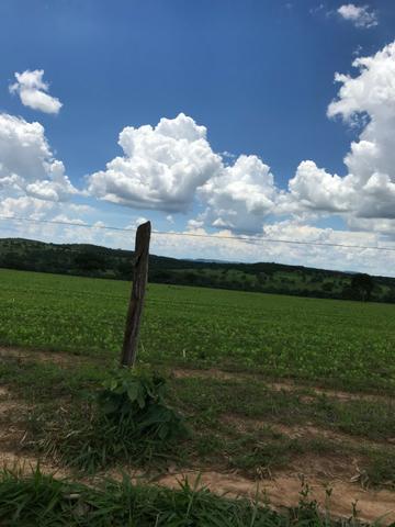 Oportunidade Extra Fazenda 100 Alqueires ou 484 Hectares Aragoiânia - Foto 9